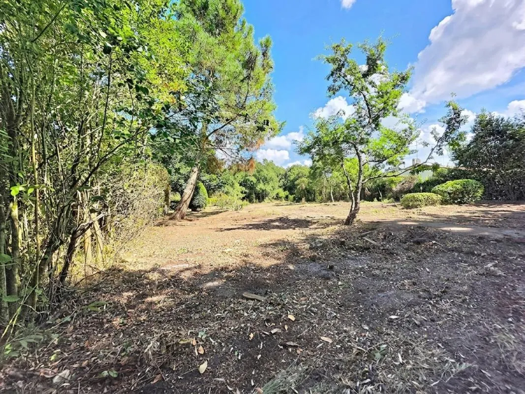 Terrain