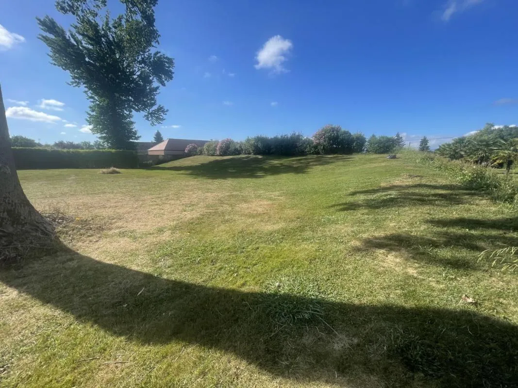 Terrain