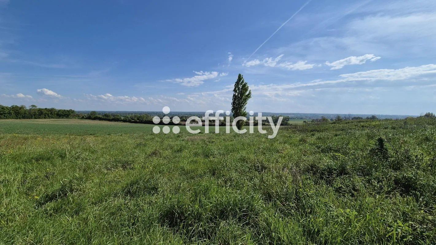 Terrain