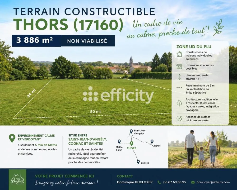 Terrain