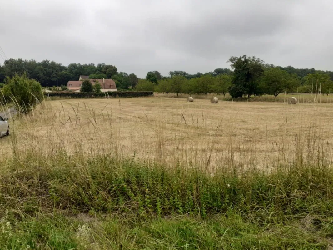 Image du carrousel 1