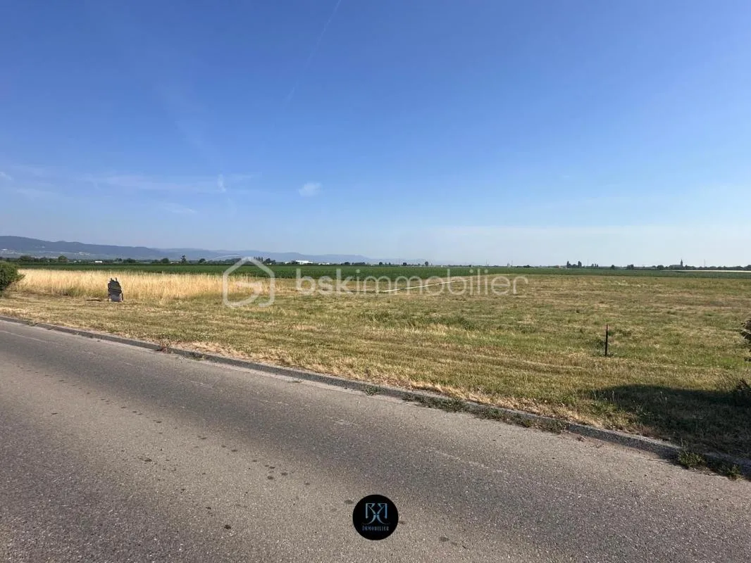 Terrain constructible de 6 ares – Vue dégagée sur les Vosges - Oberhergheim
