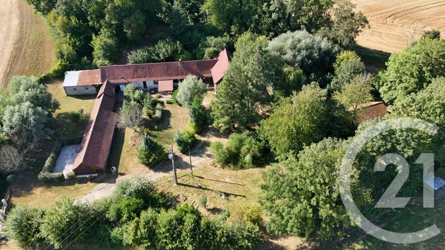 Maison