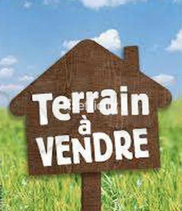 Image du carrousel 1