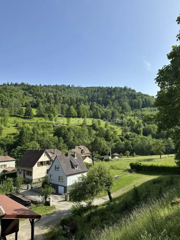Maison sans travaux et peu de vis à vis