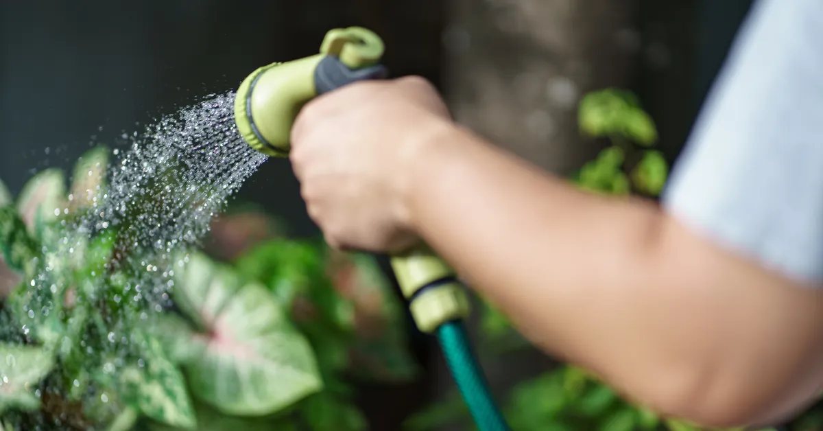 puits-ou-forage-dans-son-jardin-declaration-obligatoire-usages-autorises-et-controle-de-leau