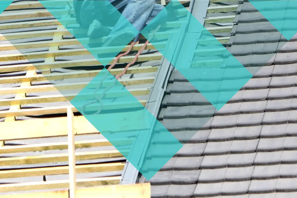 Bannière de NMB BAT