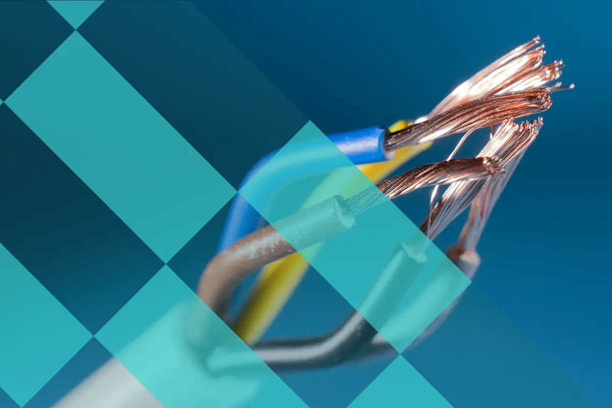 Bannière de NEXUS ELEC