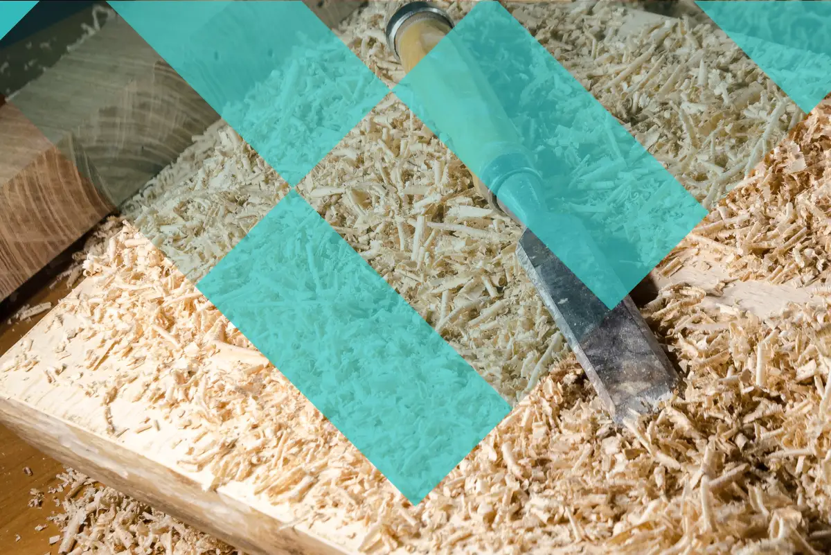 Bannière de HOMESAFE