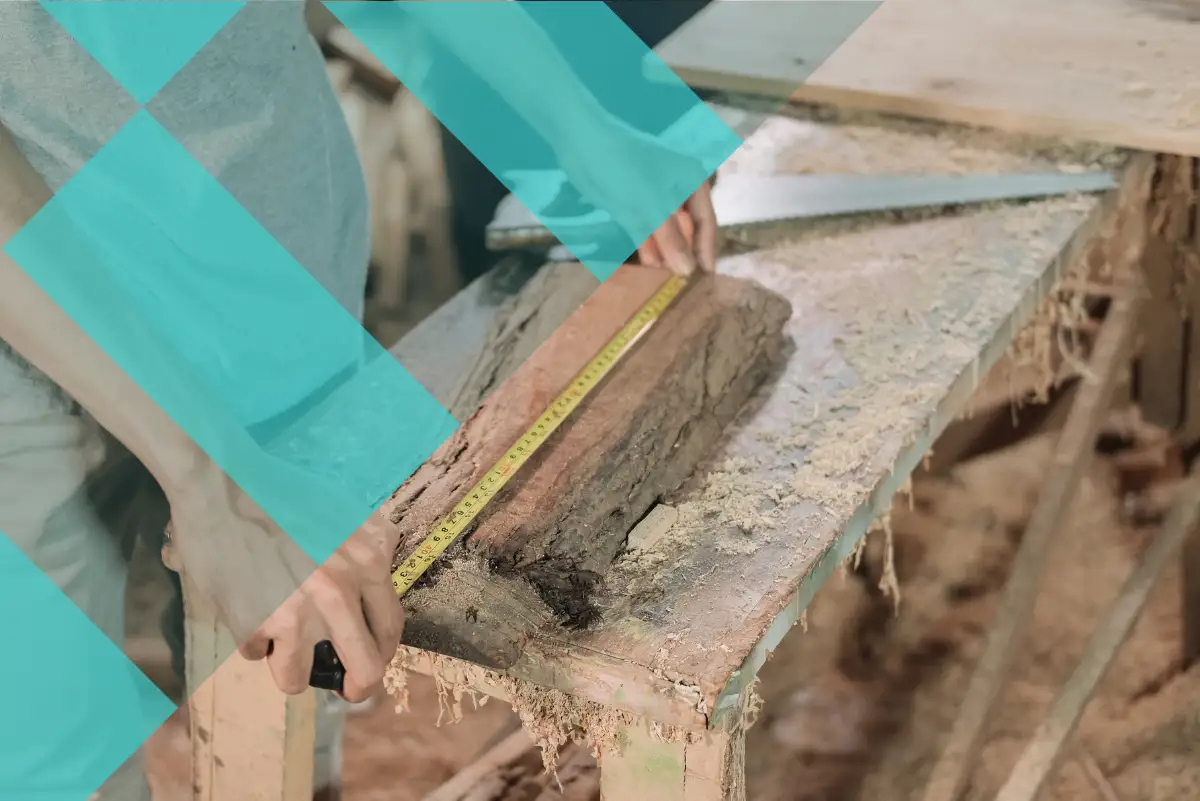 Bannière de MT TRAVAUX
